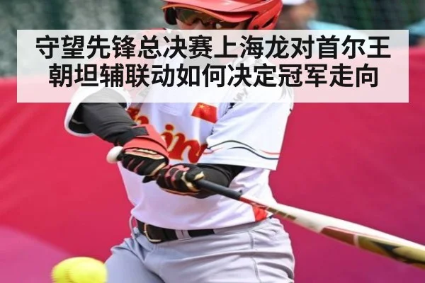守望先锋总决赛上海龙对首尔王朝坦辅联动如何决定冠军走向