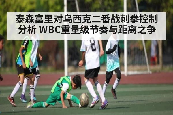 泰森富里对乌西克二番战刺拳控制分析 WBC重量级节奏与距离之争